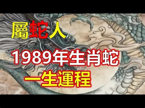 1989 屬什麼